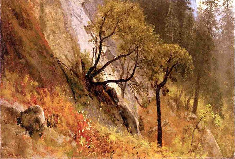 Albert Bierstadt Landscape Study, Yosemite California China oil painting art